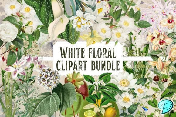 Download White Floral Vintage Clipart Bundle - Vintage Collection